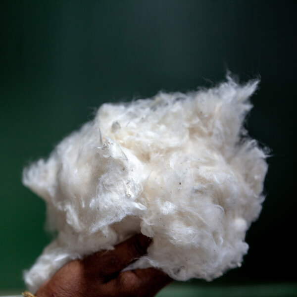 Cotton Premium Quality